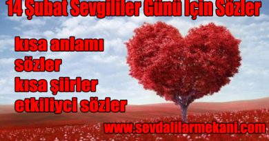 14 Şubat Sevgililer Günü İçin Sözler 14 Şubat Sevgililer Günü İçin Sözler