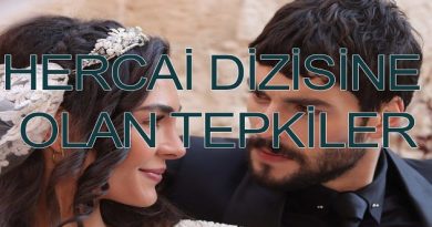 HERCAİ DİZİSİNE OLAN TEPKİLER | Mardin Halkından Düşünceler HERCAİ DİZİSİNE OLAN TEPKİLER | Mardin Halkından Düşünceler