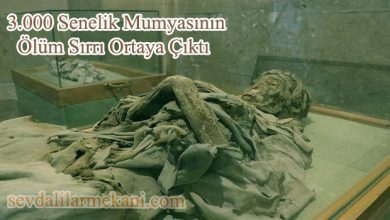 Photo of 3.000 Senelik Mumyasının Ölüm Sırrı Ortaya Çıktı