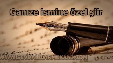 Photo of Gamze İsmine Özel Şiir