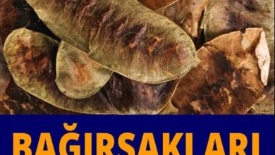 Photo of Bağırsakları çalıştırıyor etkili şekilde zayıflatıyor