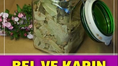 Photo of Günde 3 Fincan İçin Belinizdeki Yağlardan Kurtulun Bilgi