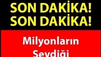 Photo of Sanat dünyasının divasını