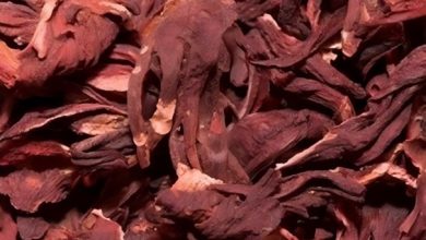 Photo of Ödem milyonlarca insanın adeta problemi