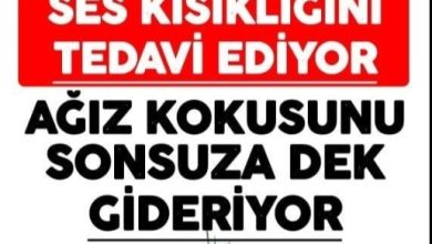 Photo of Ses kısıklığına ve ağız kokusuna çare kebabe otu