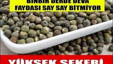 Photo of Yapanların tavsiyesiyle kullanımı çok basit
