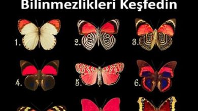 Photo of Bir Kelebek Seçin Ve Bilinçaltınızda Yatan Bilinmezlikleri Keşfedin