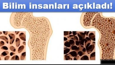 Photo of Kemik erimesini önlemek için