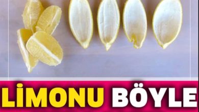 Photo of Limon Kabuğu Kullanarak Eklem Ağrılarınızdan Kurtulun