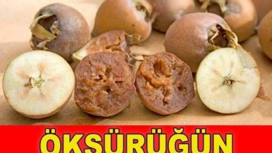 Photo of Öksürüğün Gribin Bronşitin ve Astımın Şifası