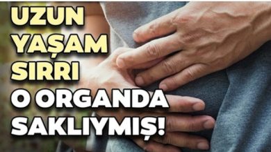 Photo of Uzun Yaşamanın Sırrı O Organda Saklıymış