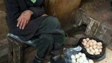 Photo of Yumurtaları ne kadara satıyorsun