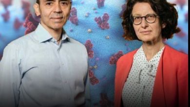 Photo of Yaklaşık 7 milyon insan hayatını kaybetmişti