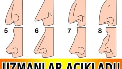 Photo of Burun Şekliniz Karakterinizi Ele Veriyor