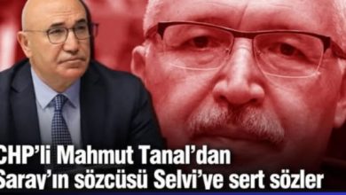 Photo of Mahmut Tanal Sordu