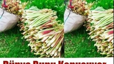 Photo of Dünya Bunu Konuşuyor