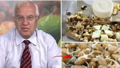 Photo of Rus bilim insanları